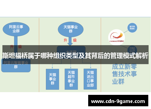 斯坦福桥属于哪种组织类型及其背后的管理模式解析 斯坦福桥属于哪种组织类型及其背后的管理模式解析